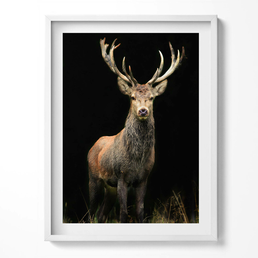 Kép keretben Szarvas fekete háttéren