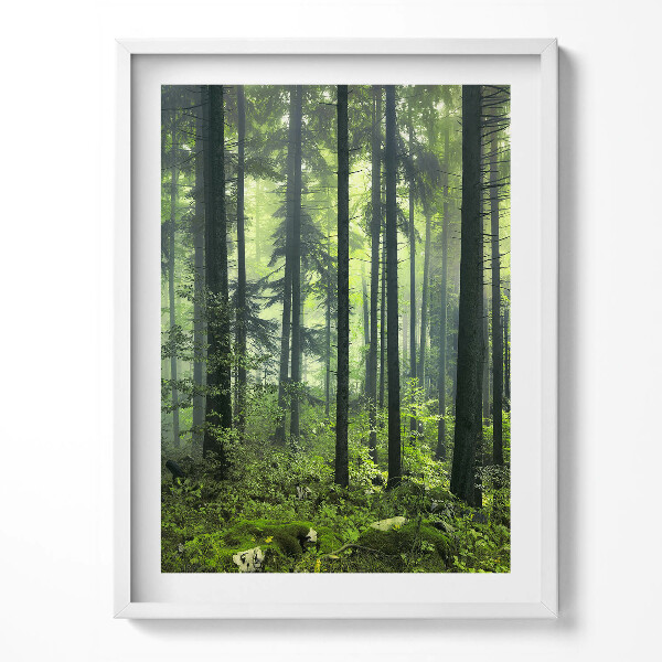 Kép keretben Tájkép fák és növényzet egy erdőben
