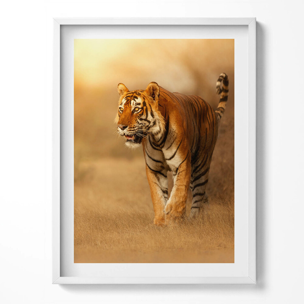 Keretezett kép Gyönyörű hegyi tó táj