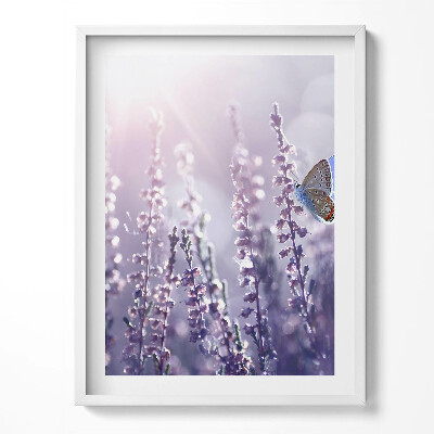 Keretezett kép Pillangó mezei virágokon