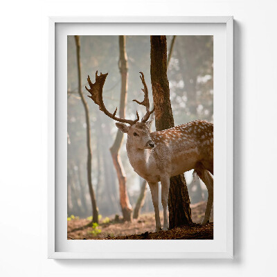 Kép keretben Szarvasok napfelkeltekor