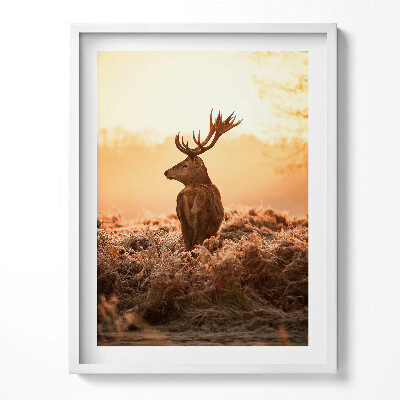 Kép keretben Szarvasok napfelkeltekor