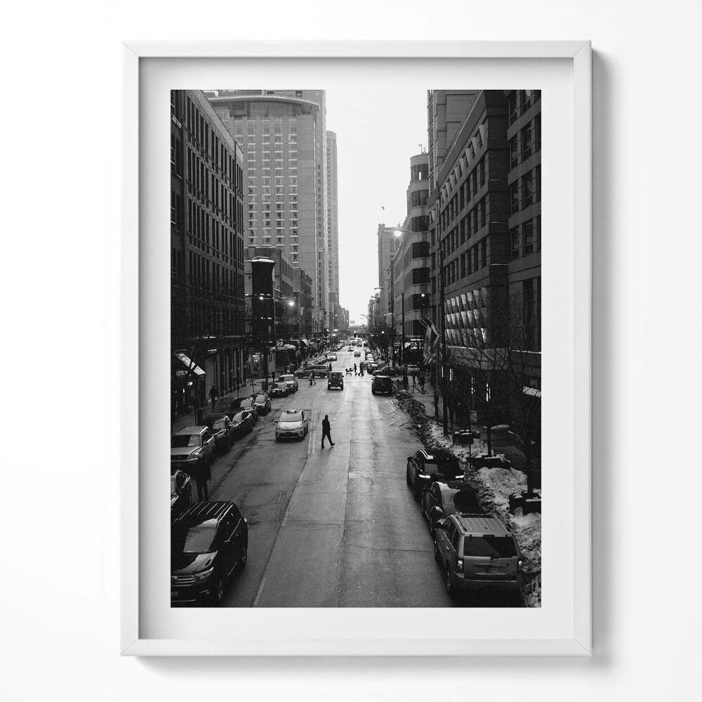Keretezett kép Chicagó fekete-fehér utcái Finom fehér ló Portré egy szépséges nővel a virággal Fekete-fehér chicagói utcák chicago fehér utcái