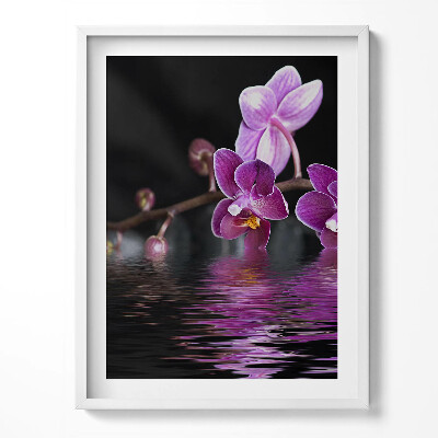 Kép keretben Rózsaszín orchidea virág a vízen