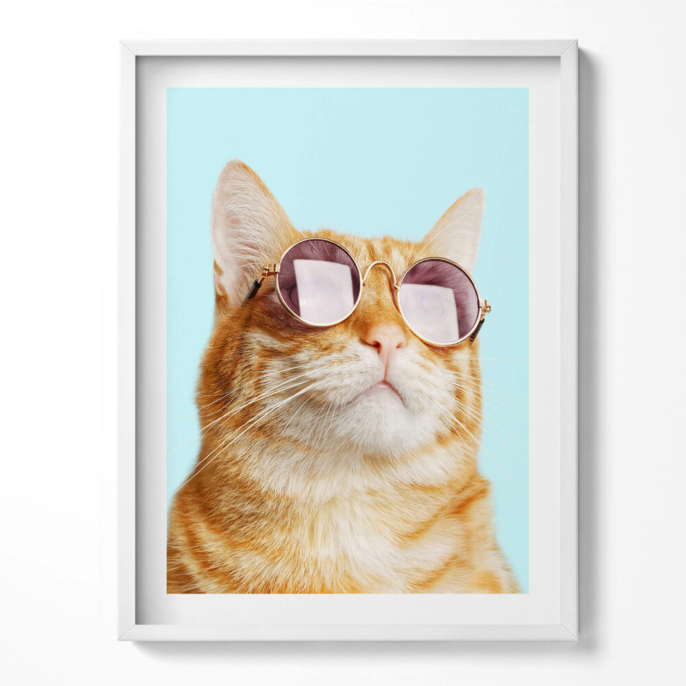 Kép keretben Vicces macska szemüveggel