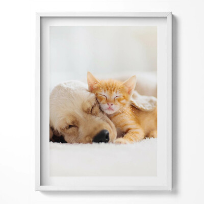 Keretezett kép Alvó állatok macska és kutya