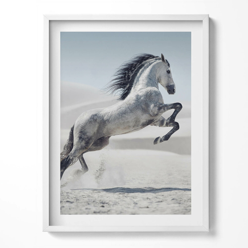 Kép keretben Galoppozó fehér ló