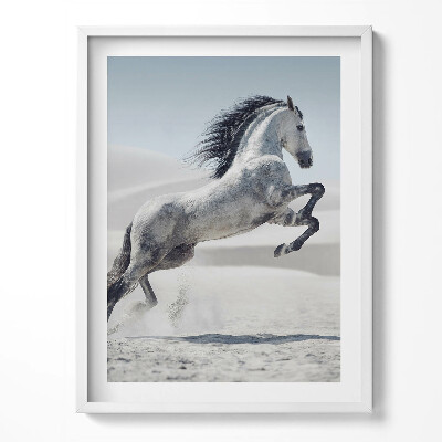 Kép keretben Galoppozó fehér ló