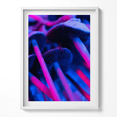 Keretezett kép Varázslatos színes gombák