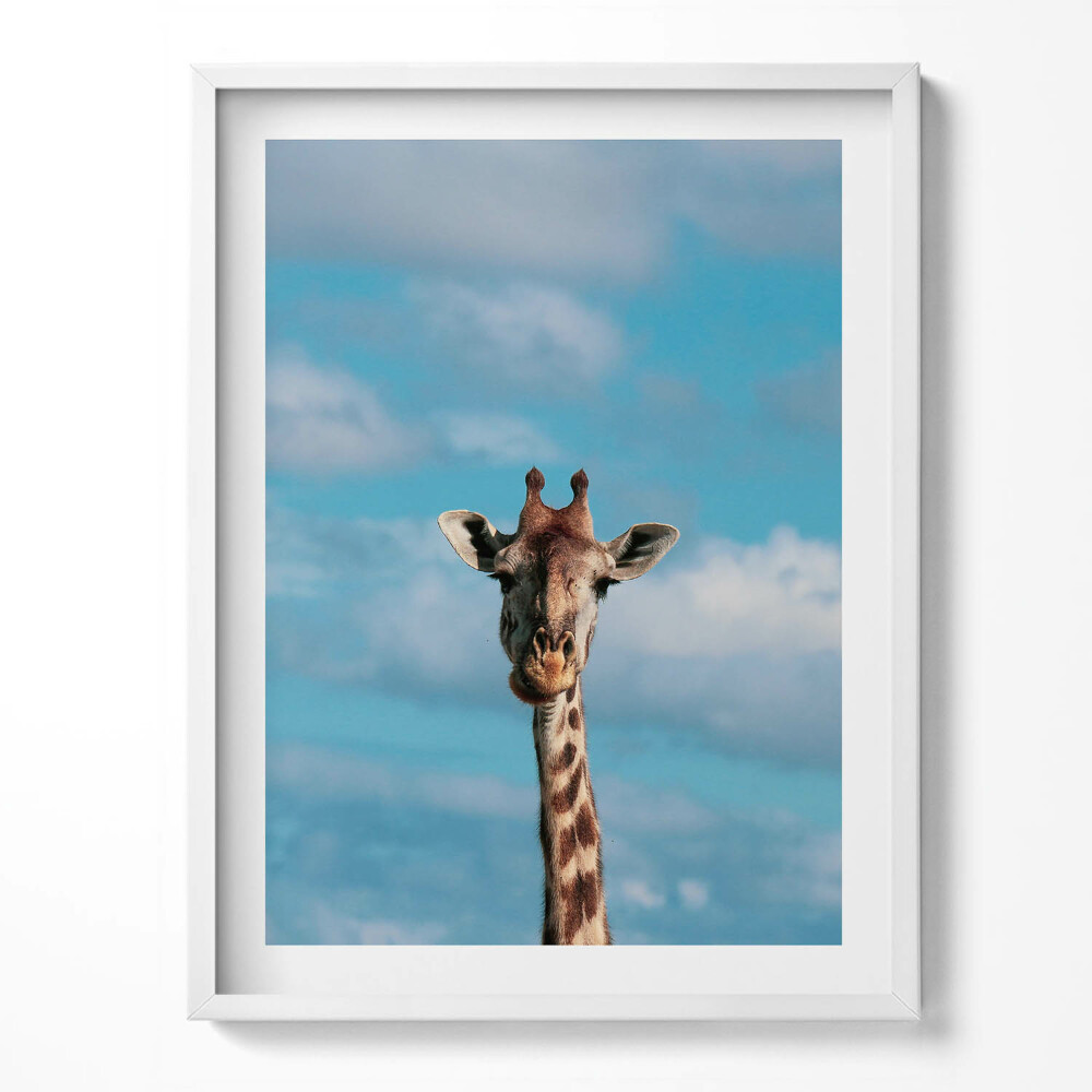 Kép keretben Egy zsiráf feje az égen