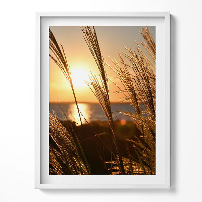 Kép keretben Búzaföld az arany órában