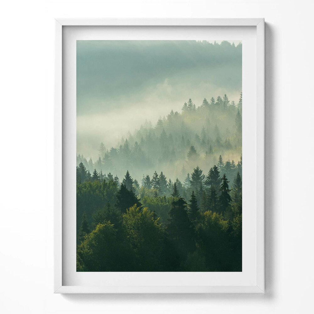 Keretezett kép Zöld levél erek