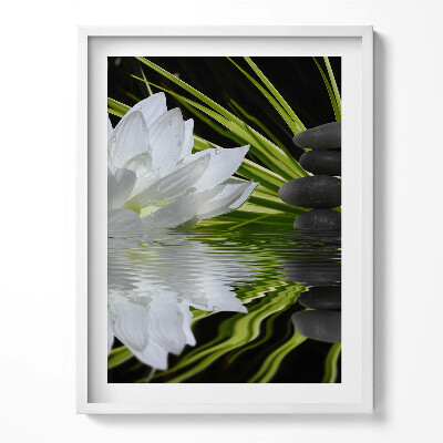 Keretezett kép Vízililiom és levelek