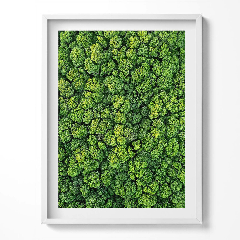 Kép keretben Madártávlatból egy erdő