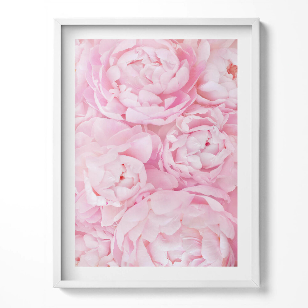 Keretezett kép Virágzó virágok