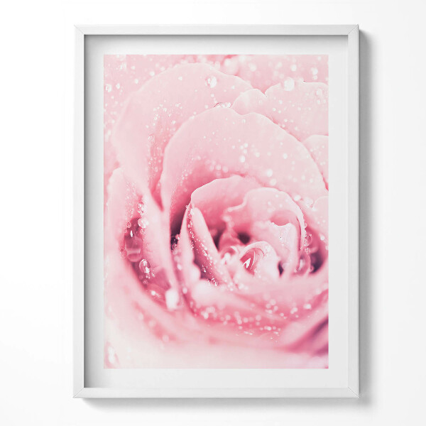 Kép keretben Rózsaszín finom virág