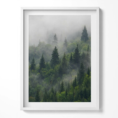 Kép keretben Erdei táj ködben