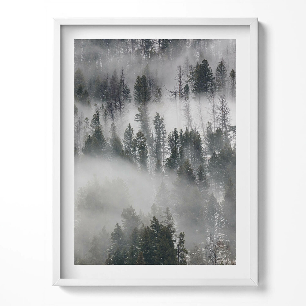 Kép keretben Folyó egy erdőben télen