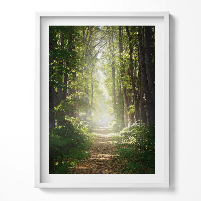 Kép keretben Erdei út a fák között