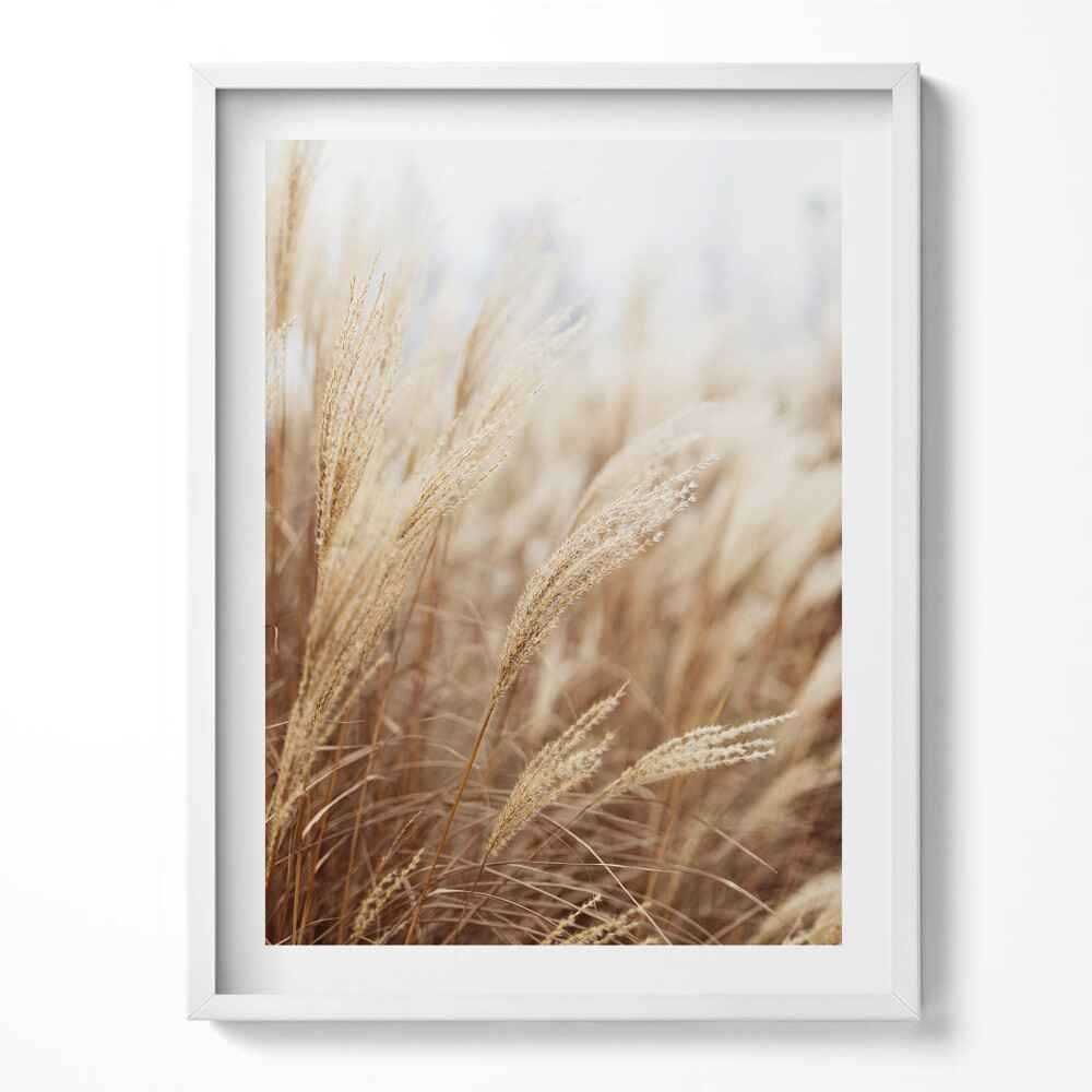 Keretezett kép Természet boho füvek gabona