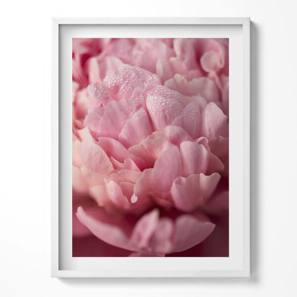 Kép keretben Delicate flower petals