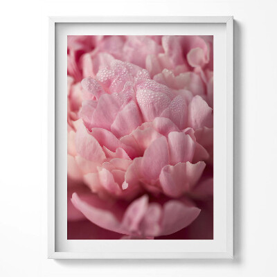 Kép keretben Delicate flower petals