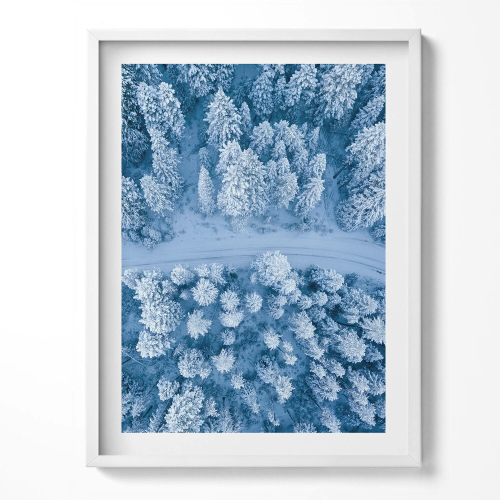 Kép keretben Erdő madártávlatból Drón