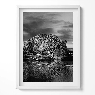 Kép keretben Fekete-fehér leopárd vadállat
