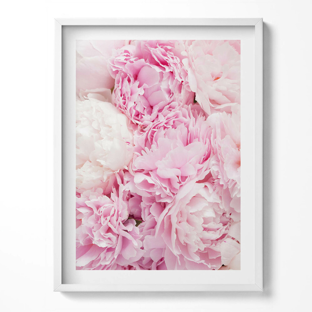 Keretezett kép Fenséges oroszlán állat