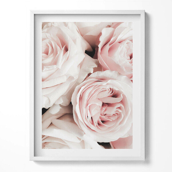Keretezett kép Halvány rózsaszín virágok finom rózsák