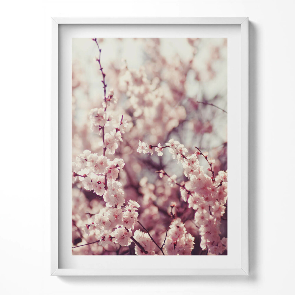 Keretezett kép Szép tavaszi virágok egy fán