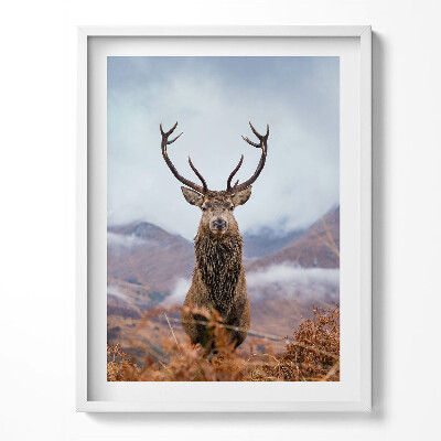 Keretezett kép Szarvas egy hegyi tisztáson