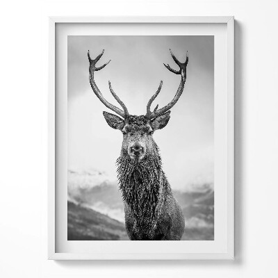 Keretezett kép Fekete-fehér állatszarvas