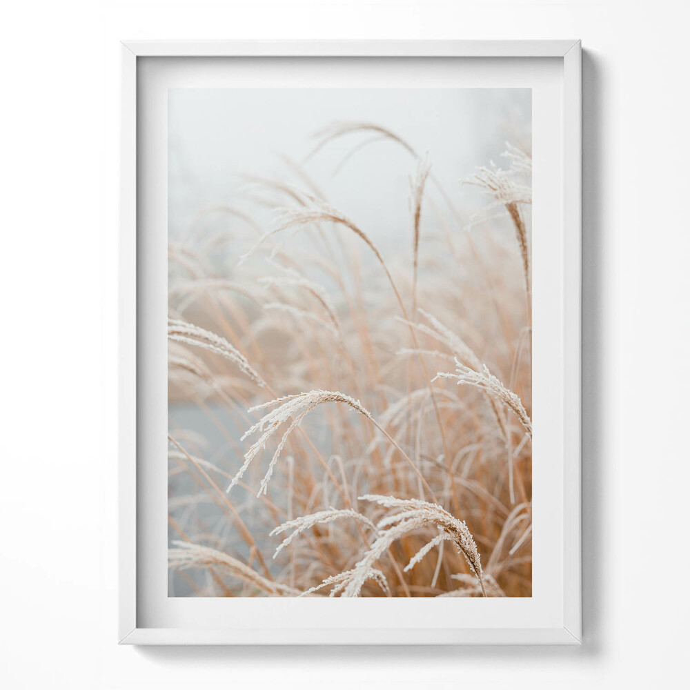 Kép keretben Finom füvek boho stílusban