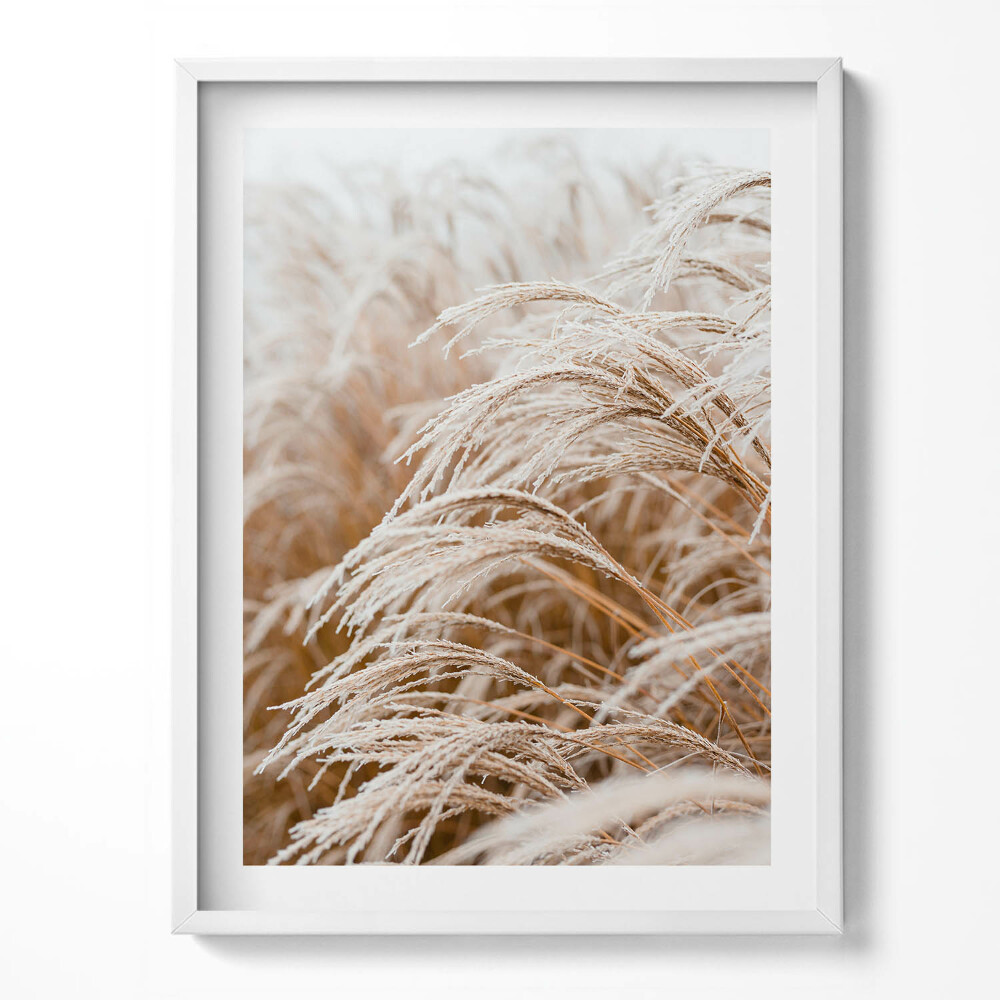 Keretezett kép Finom füvek boho stílusban