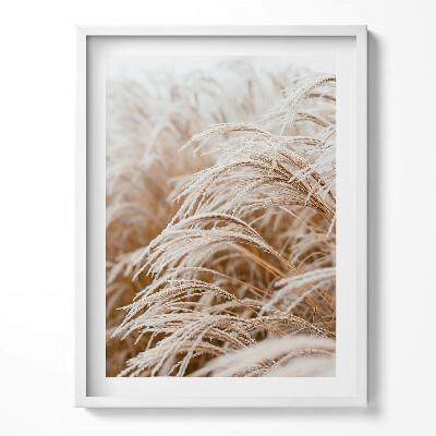 Keretezett kép Finom füvek boho stílusban