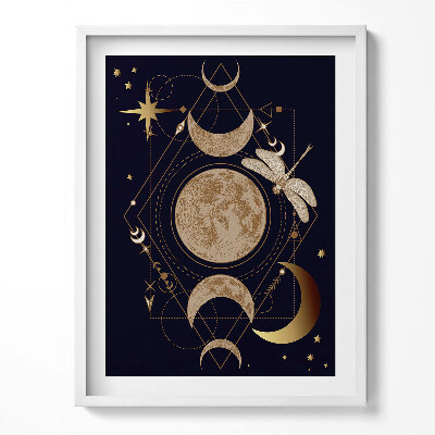 Keretezett kép Magical composition of cosmos and dragonfly