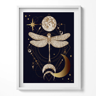 Kép keretben Magical composition of cosmos and dragonfly