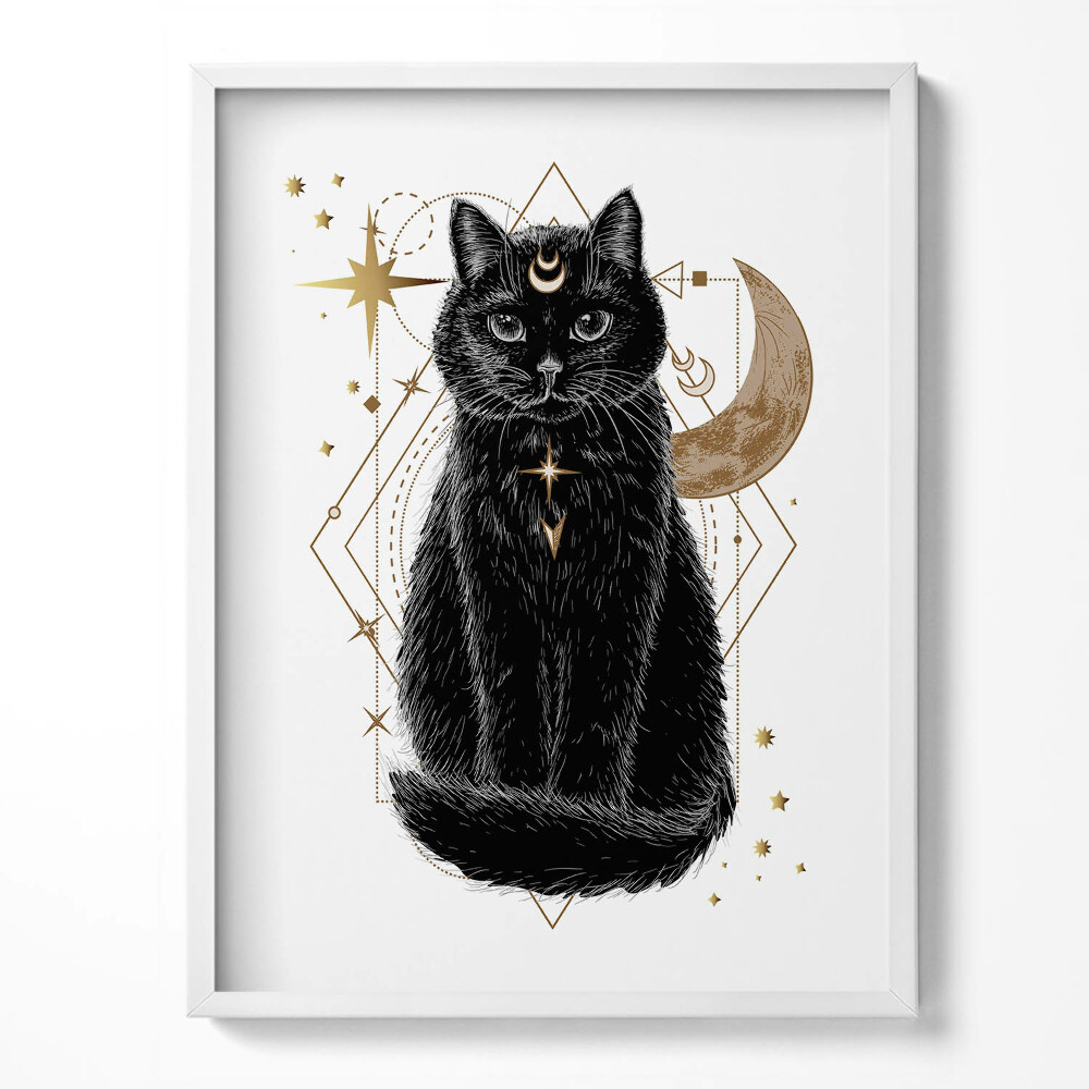 Kép keretben Varázslatos fekete macska és kozmosz