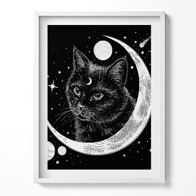 Keretezett kép Varázslatos fekete macska és kozmosz