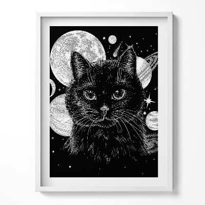 Keretezett kép Varázslatos fekete macska és kozmosz