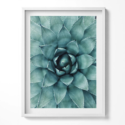 Kép keretben Zöld zamatos növény