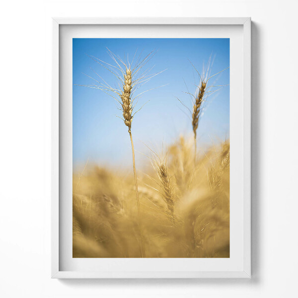 Keretezett kép Tüskék az égbolton