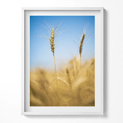 Keretezett kép Tüskék az égbolton