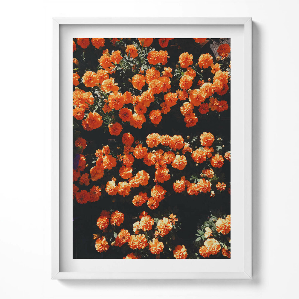 Keretezett kép Narancssárga virágok