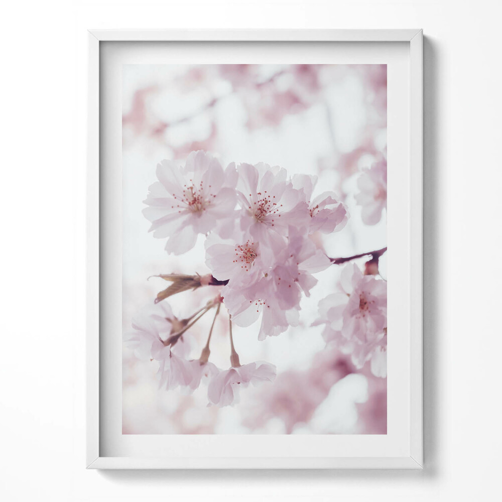 Keretezett kép Finom halvány rózsaszín virágok