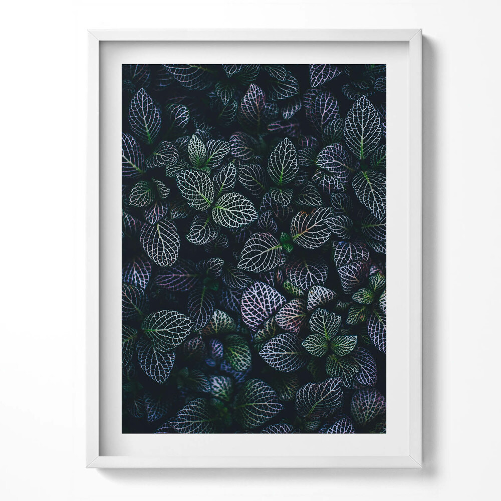 Keretezett kép Sötét vad levelek