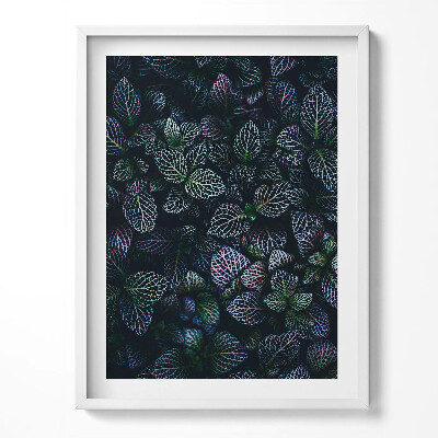 Keretezett kép Sötét vad levelek