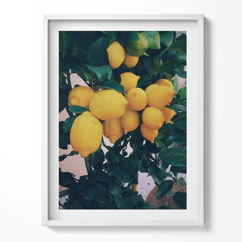 Kép keretben Fél és vízesés tájkép