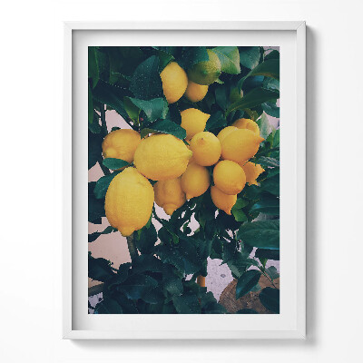 Kép keretben Fél és vízesés tájkép